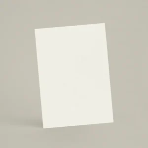 Échantillon A6 Chaux lissée chSL01 - Neige