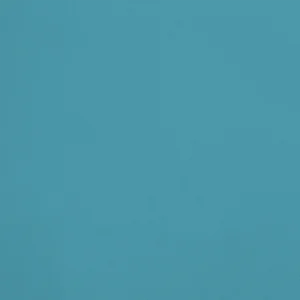 334.R837 - L'Exubérance