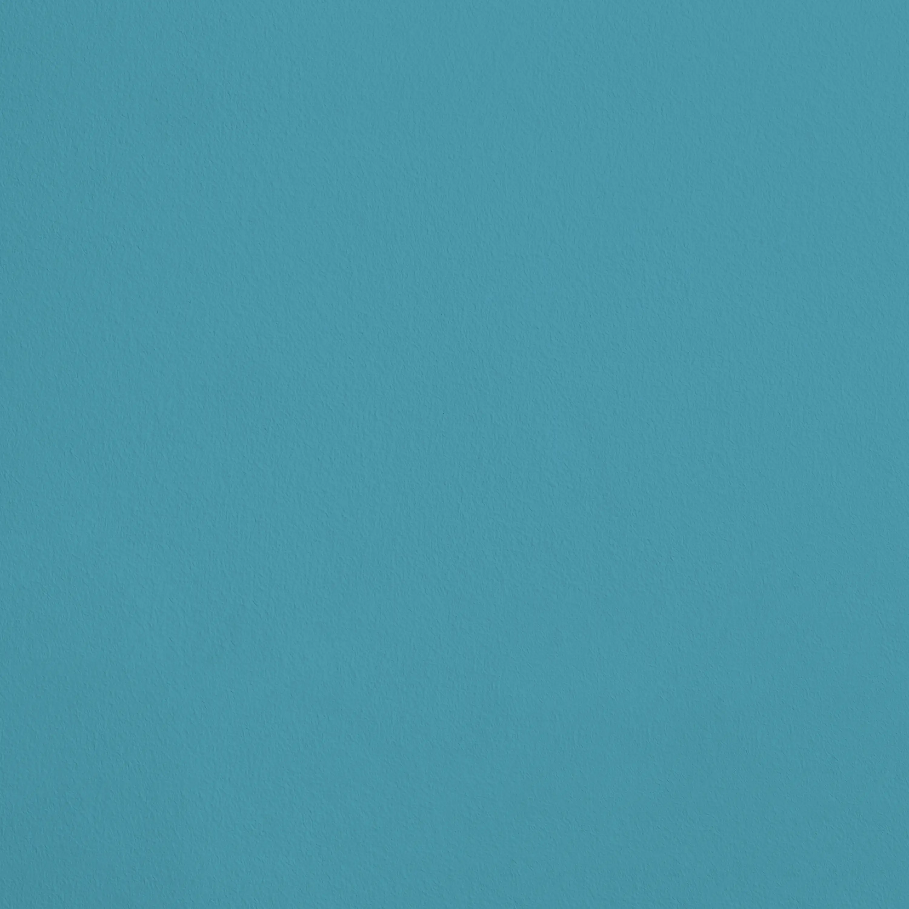 334.R837 - L'Exubérance