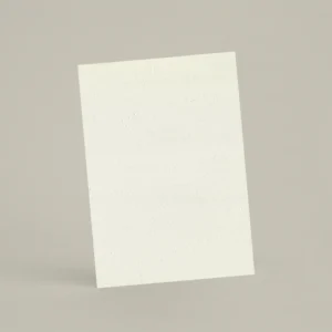 Échantillon A6 Chaux brossée RMDV05 - Calisson