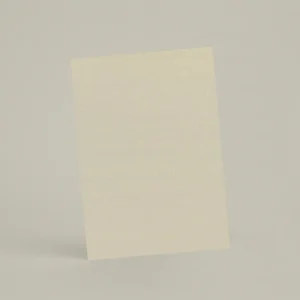 Échantillon A6 Chaux brossée RMDV08 - Écume