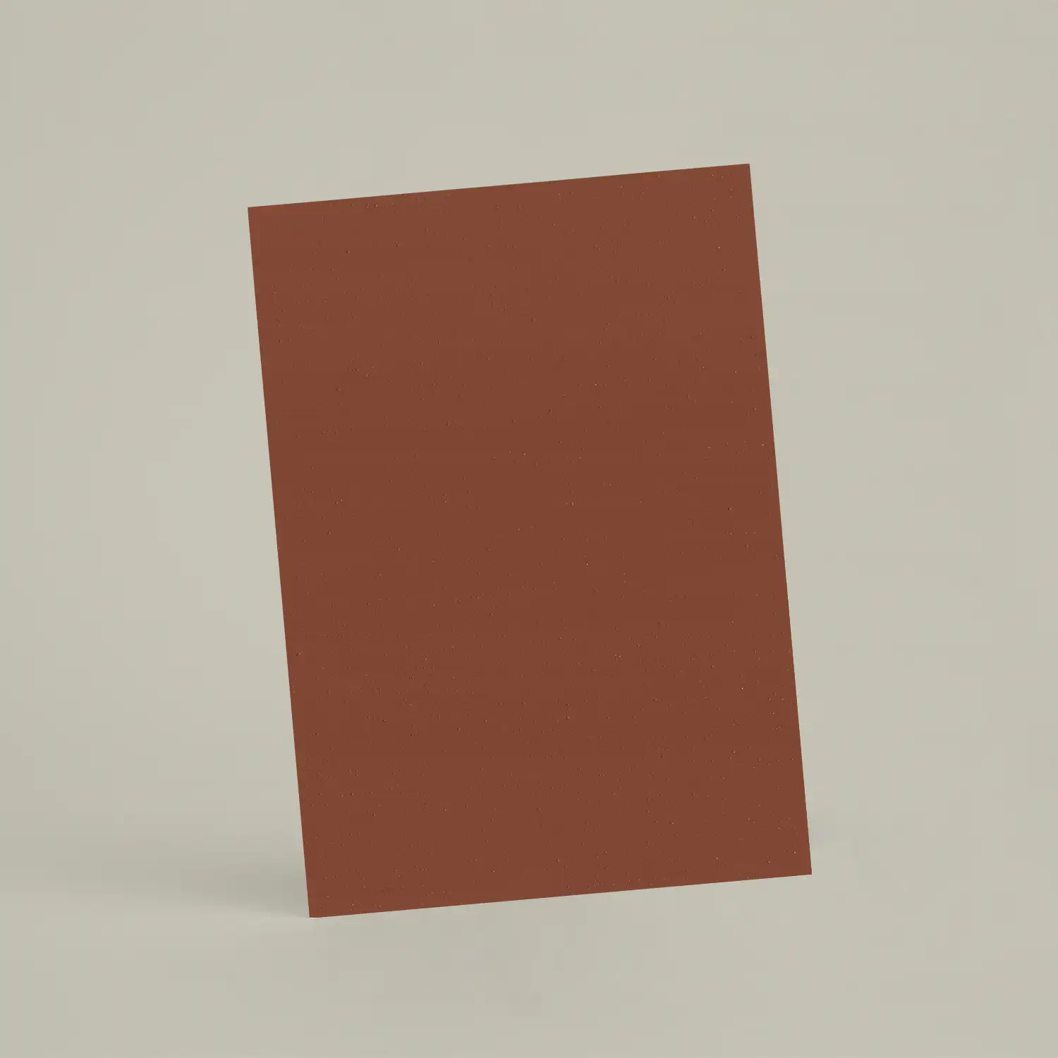 Échantillon A6 Chaux brossée RMDV34 - Terre Battue