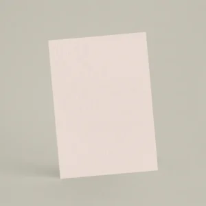 Échantillon A6 Chaux brossée RMDV41 - Blush