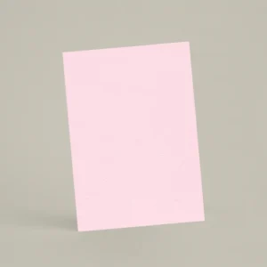 Échantillon A6 Chaux brossée RMDV42 - Panty