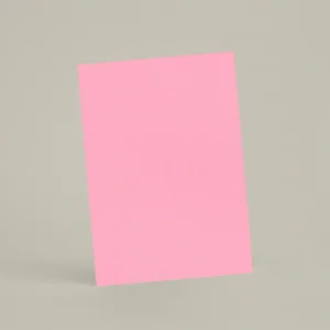 Échantillon A6 Chaux brossée RMDV43 - Caprice