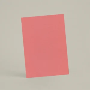 Échantillon A6 Chaux brossée RMDV44 - Pastèque