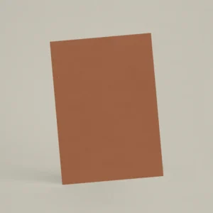 Échantillon A6 Chaux brossée RMDV48 - Terre de Tuile