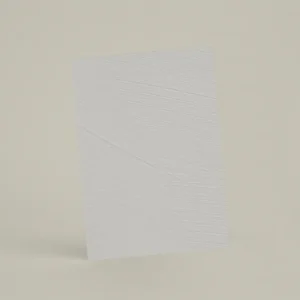 Échantillon A6 Chaux brossée RMDV55 - Gris de Lin