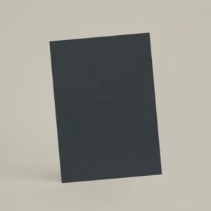 Échantillon A6 Chaux brossée RMDV59 - Caviar