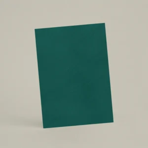 Échantillon A6 Chaux brossée RMDV65 - Agave