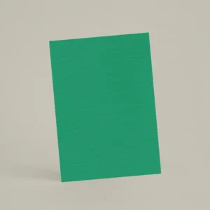 Échantillon A6 Chaux brossée RMDV67 - Aloe Vera