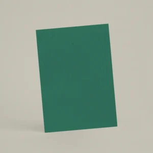 Échantillon A6 Chaux brossée RMDV68 - Forest