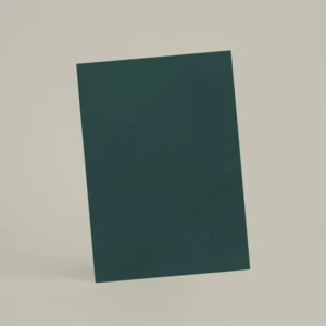 Échantillon A6 Chaux brossée RMDV71 - Cèdre