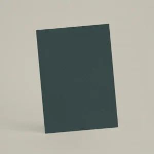 Échantillon A6 Chaux brossée RMDV73 - Canard