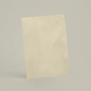 Échantillon A6 Chaux ferrée RMDV08 - Écume