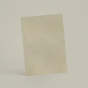 Échantillon A6 Chaux ferrée RMDV22 - Puce