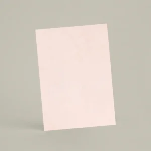 Échantillon A6 Chaux ferrée RMDV41 - Blush