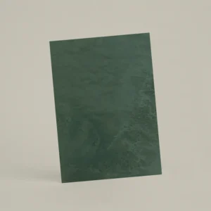 Échantillon A6 Chaux ferrée RMDV69 - Avocat