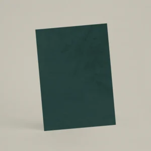 Échantillon A6 Chaux ferrée RMDV71 - Cèdre