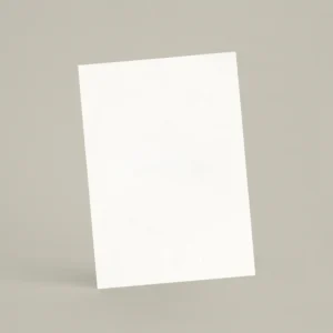 Échantillon A6 Chaux lissée RMDV01 - Finca