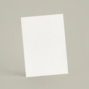 Échantillon A6 Chaux lissée RMDV02 - Arum