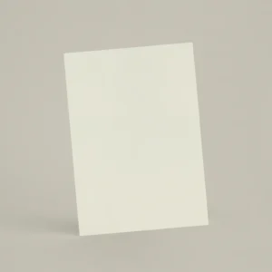 Échantillon A6 Chaux lissée RMDV04 - Grège