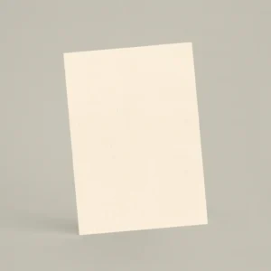 Échantillon A6 Chaux lissée RMDV06 - Lumière