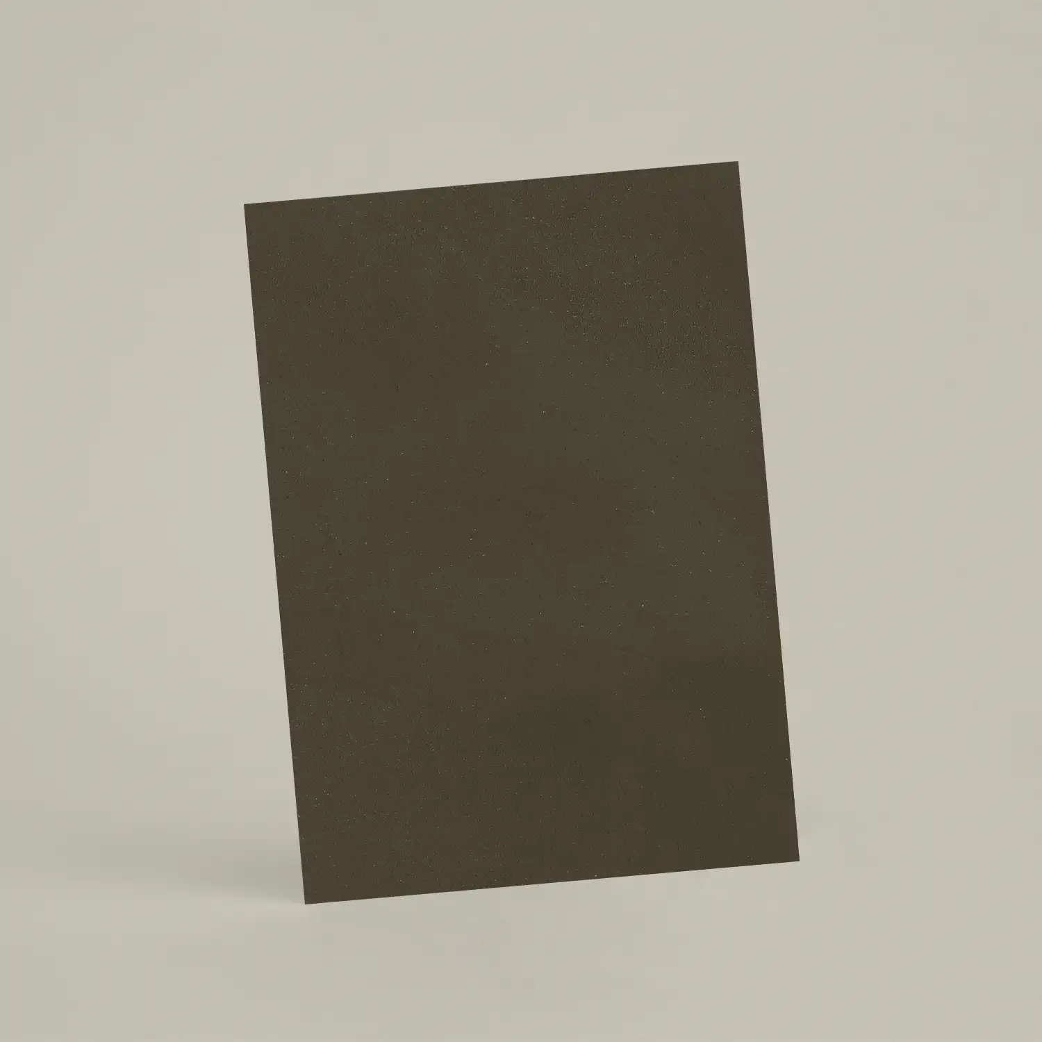 Échantillon A6 Chaux lissée RMDV16 - Yeuse