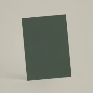 Échantillon A6 Chaux lissée RMDV18 - Laurier Sauce