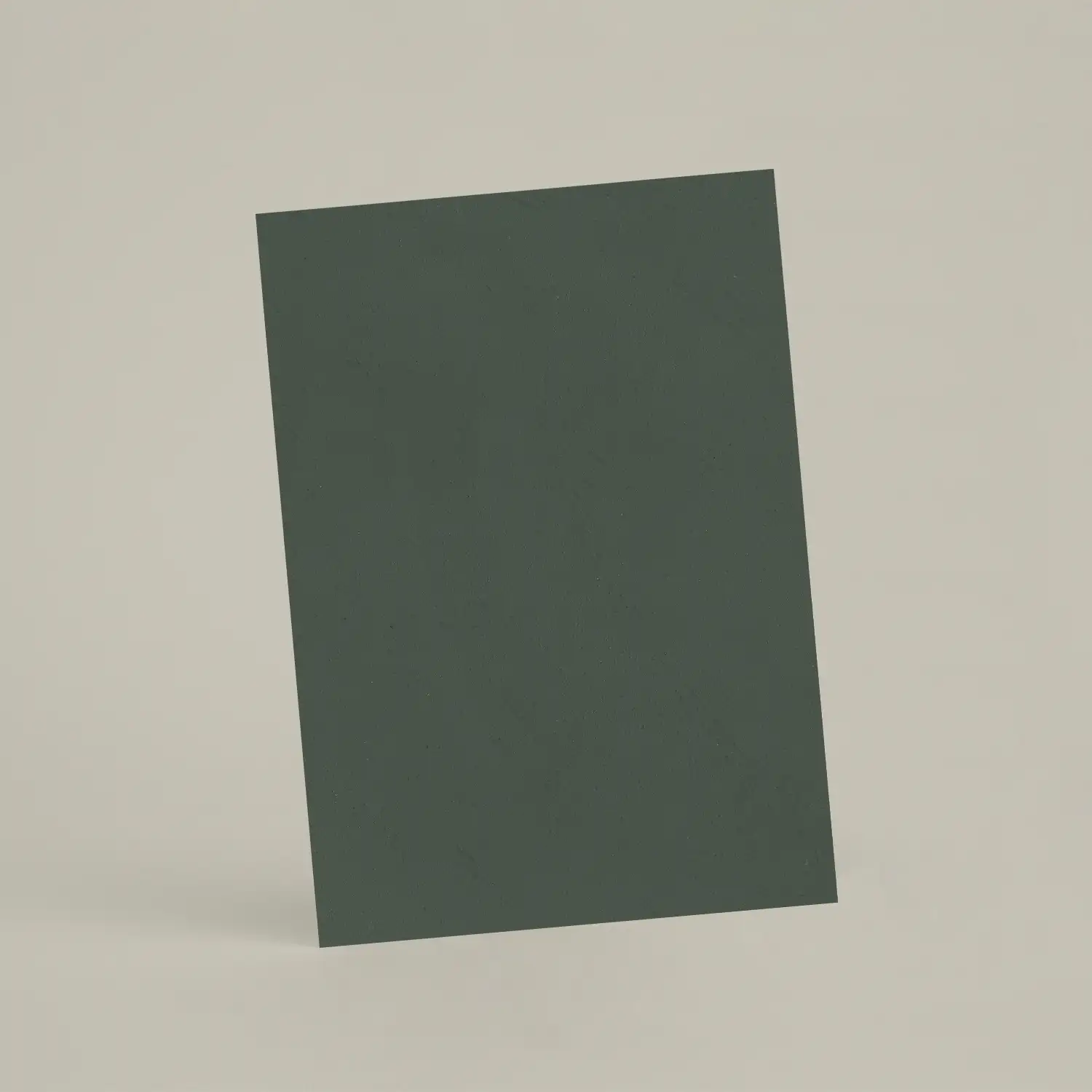 Échantillon A6 Chaux lissée RMDV18 - Laurier Sauce