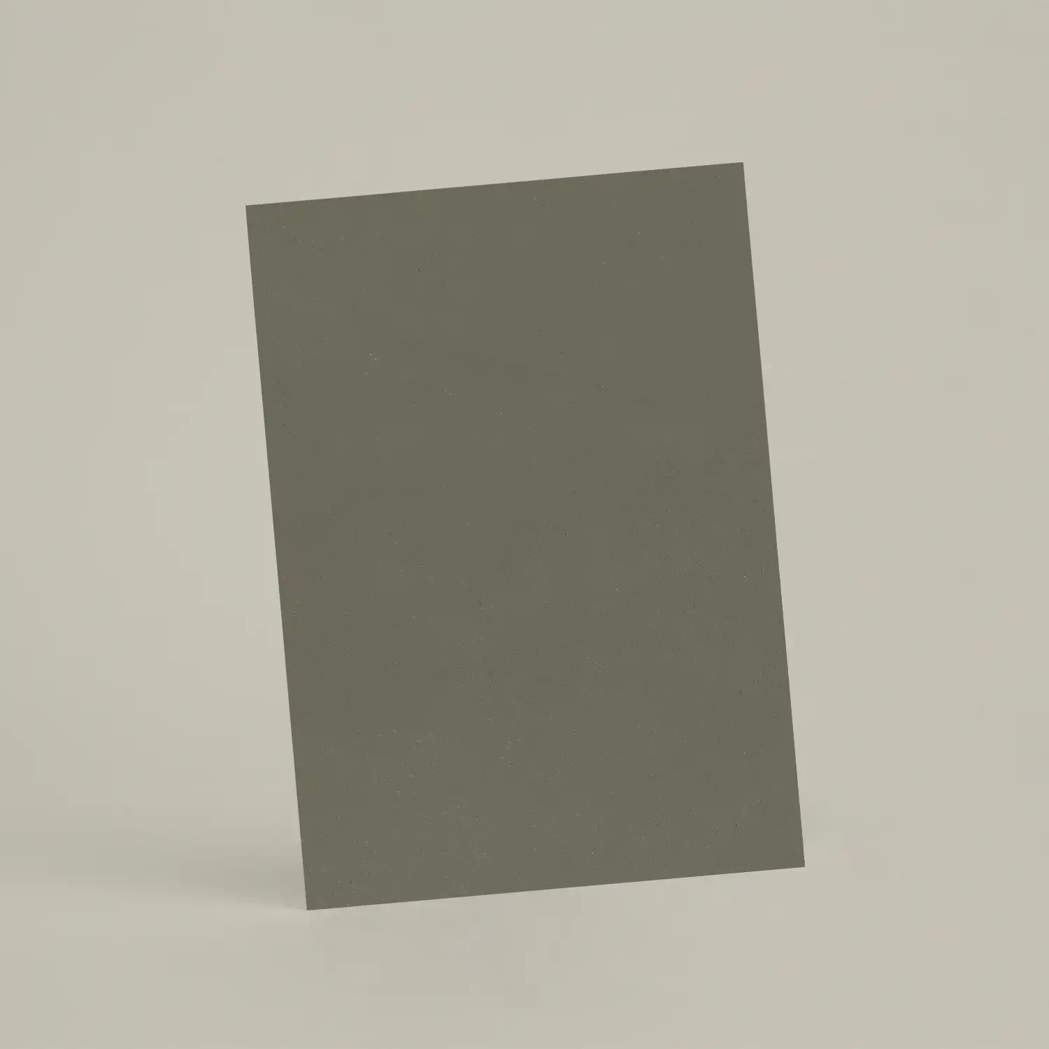 Échantillon A6 Chaux lissée RMDV19 - Vétiver