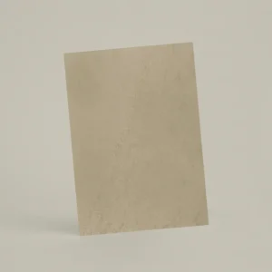 Échantillon A6 Chaux lissée RMDV22 - Puce