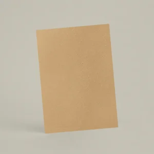 Échantillon A6 Chaux lissée RMDV24 - Épeautre