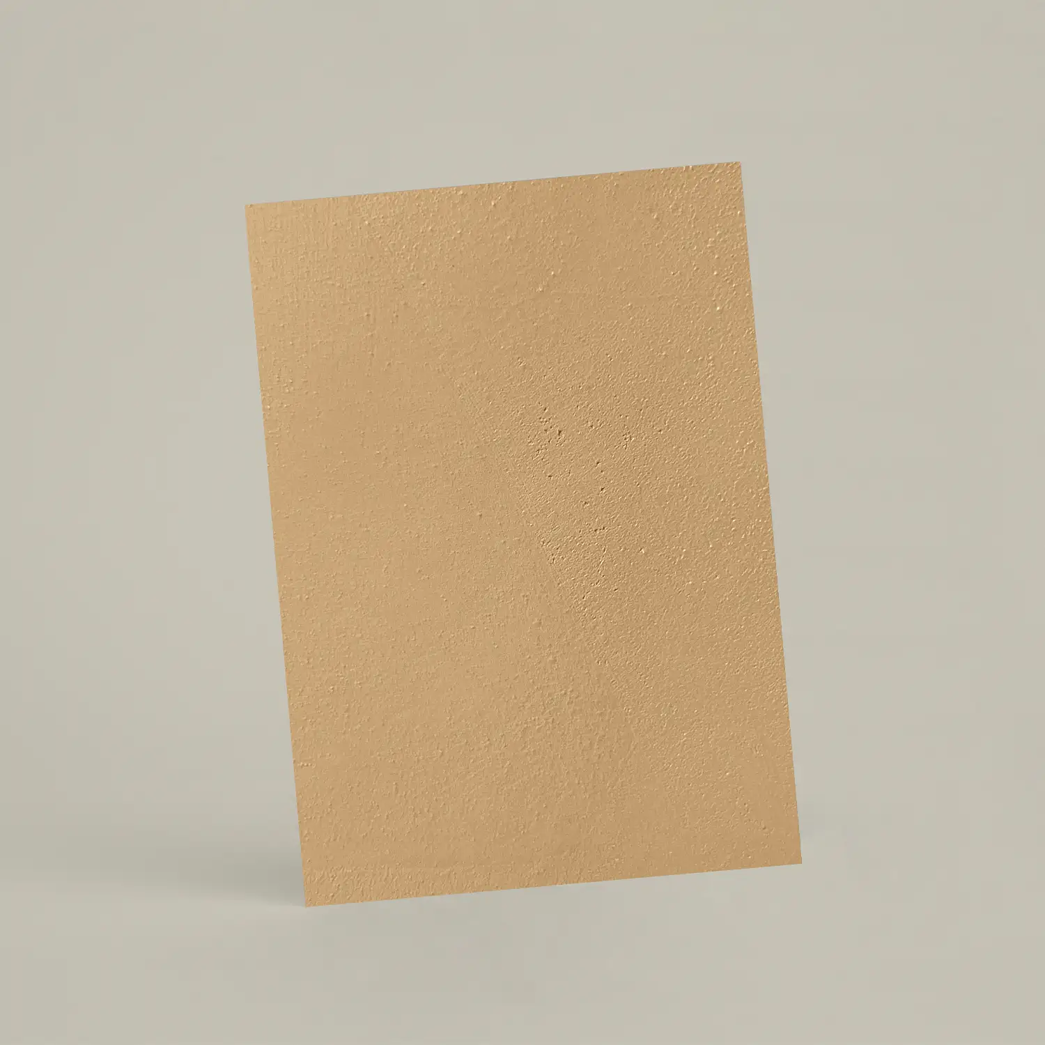 Échantillon A6 Chaux lissée RMDV24 - Épeautre