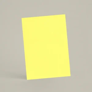 Échantillon A6 Chaux lissée RMDV28 - Citrus