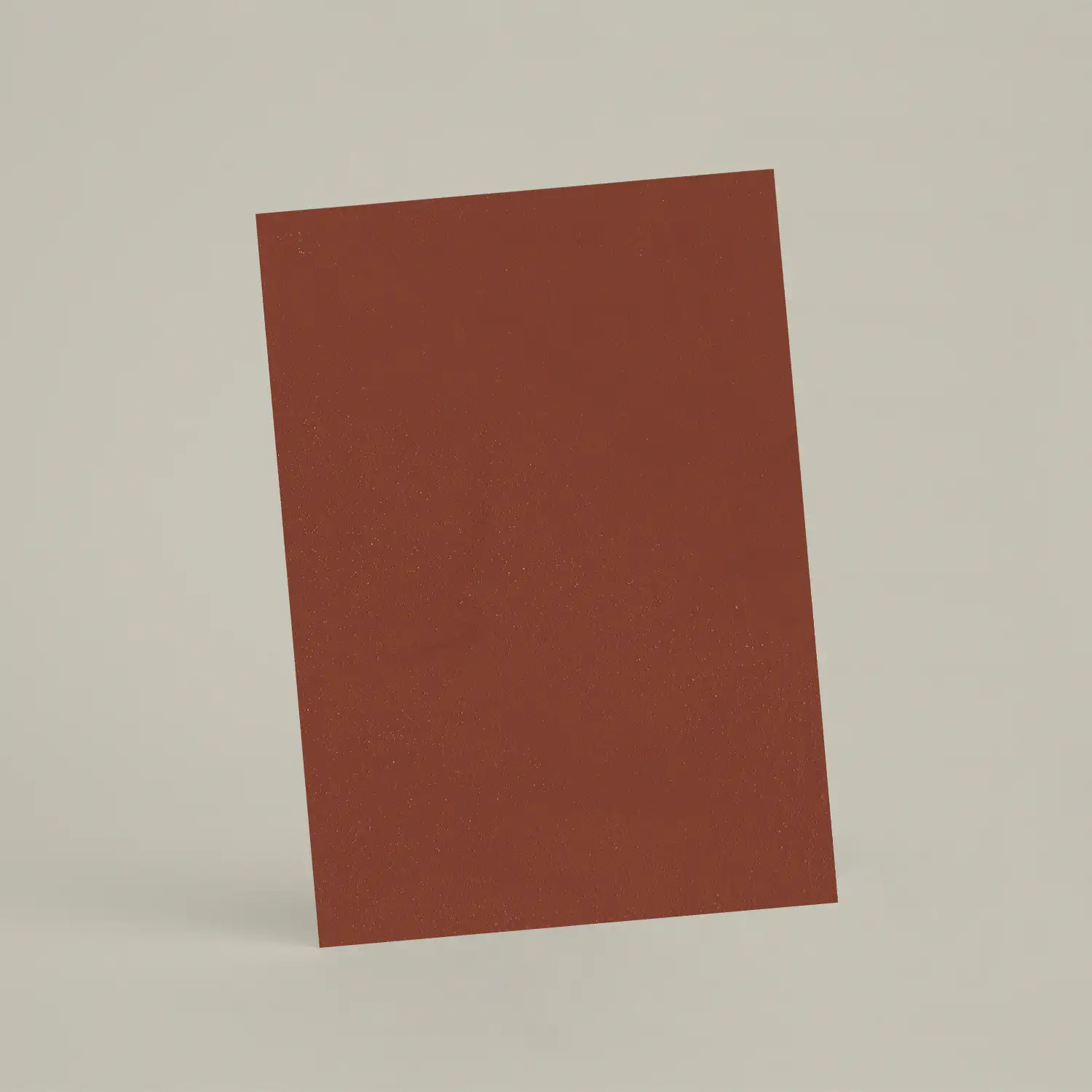 Échantillon A6 Chaux lissée RMDV34 - Terre Battue