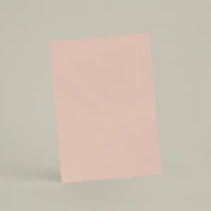 Échantillon A6 Chaux lissée RMDV40 - Musc