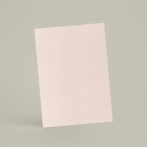 Échantillon A6 Chaux lissée RMDV41 - Blush