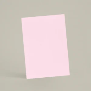 Échantillon A6 Chaux lissée RMDV42 - Panty