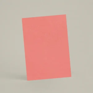 Échantillon A6 Chaux lissée RMDV44 - Pastèque