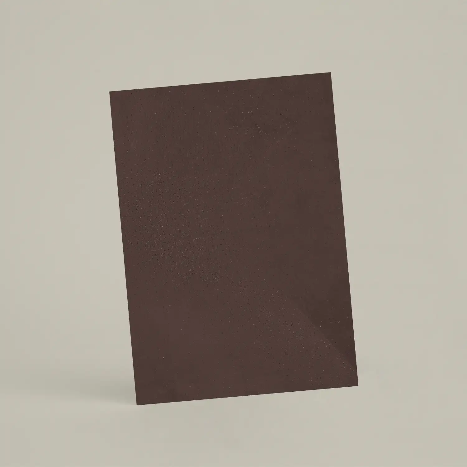 Échantillon A6 Chaux lissée RMDV50 - Caroube