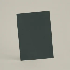 Échantillon A6 Chaux lissée RMDV59 - Caviar