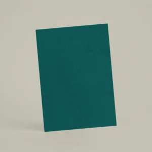 Échantillon A6 Chaux lissée RMDV64 - Peacock