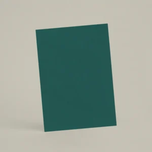 Échantillon A6 Chaux lissée RMDV65 - Agave