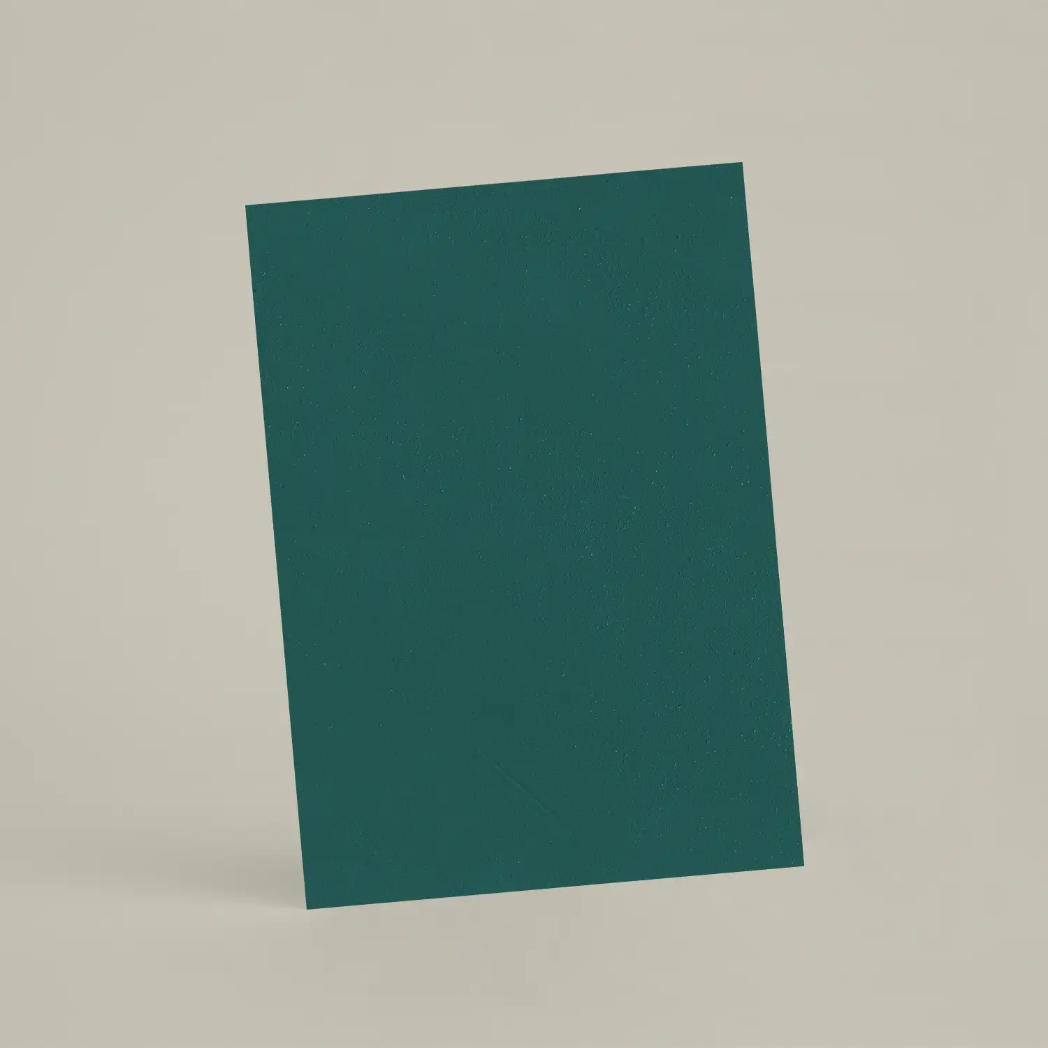 Échantillon A6 Chaux lissée RMDV65 - Agave