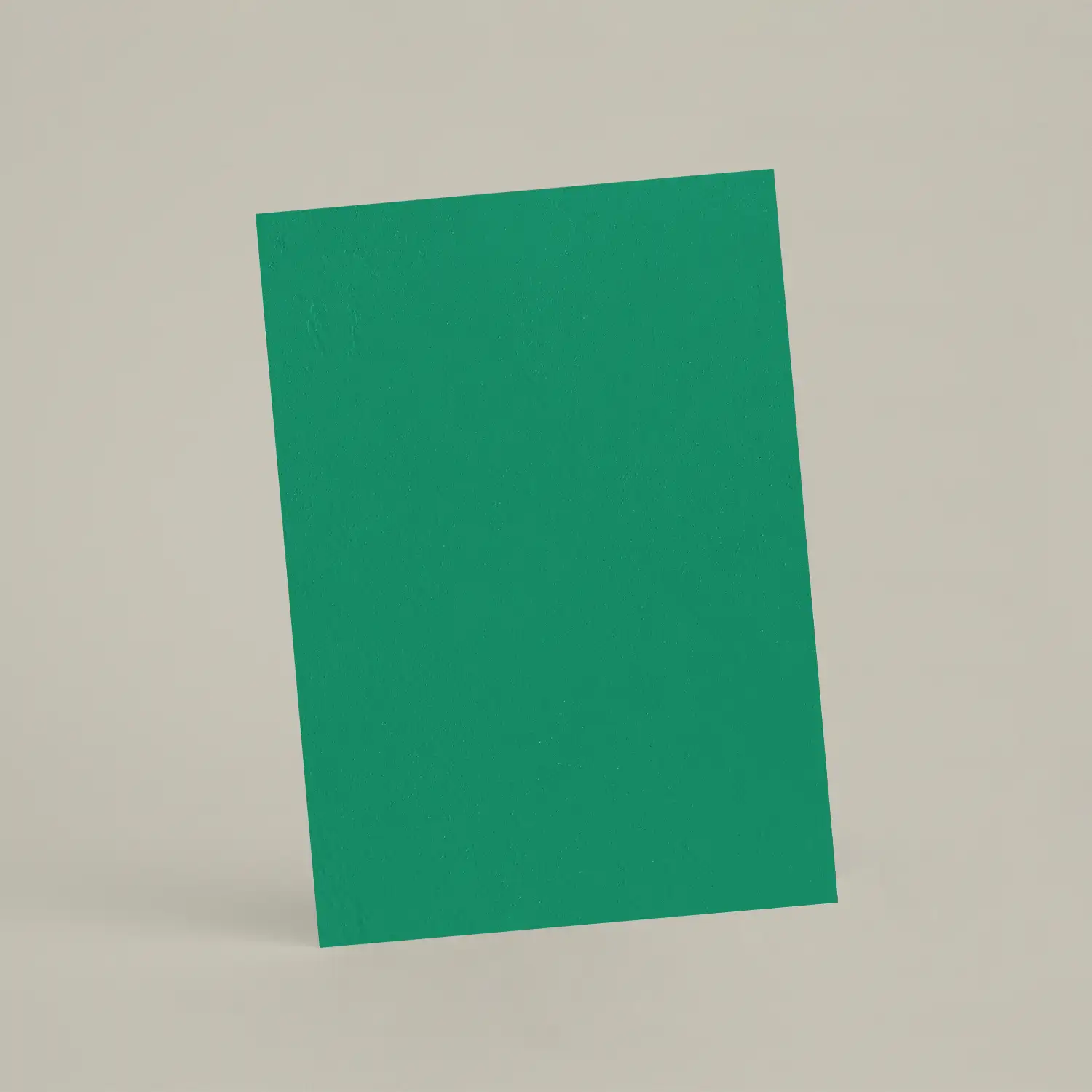 Échantillon A6 Chaux lissée RMDV67 - Aloe Vera