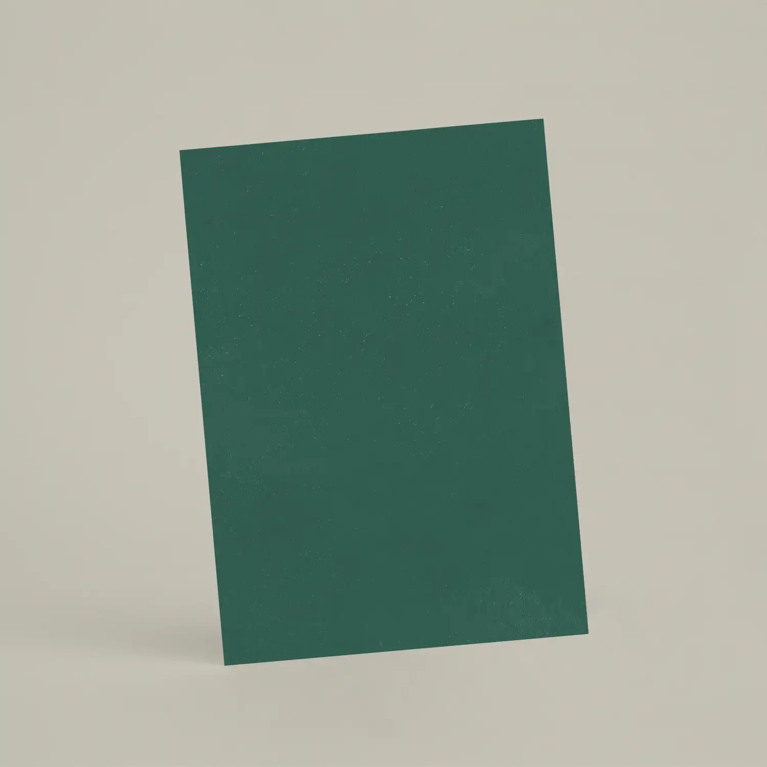 Échantillon A6 Chaux lissée RMDV68 - Forest