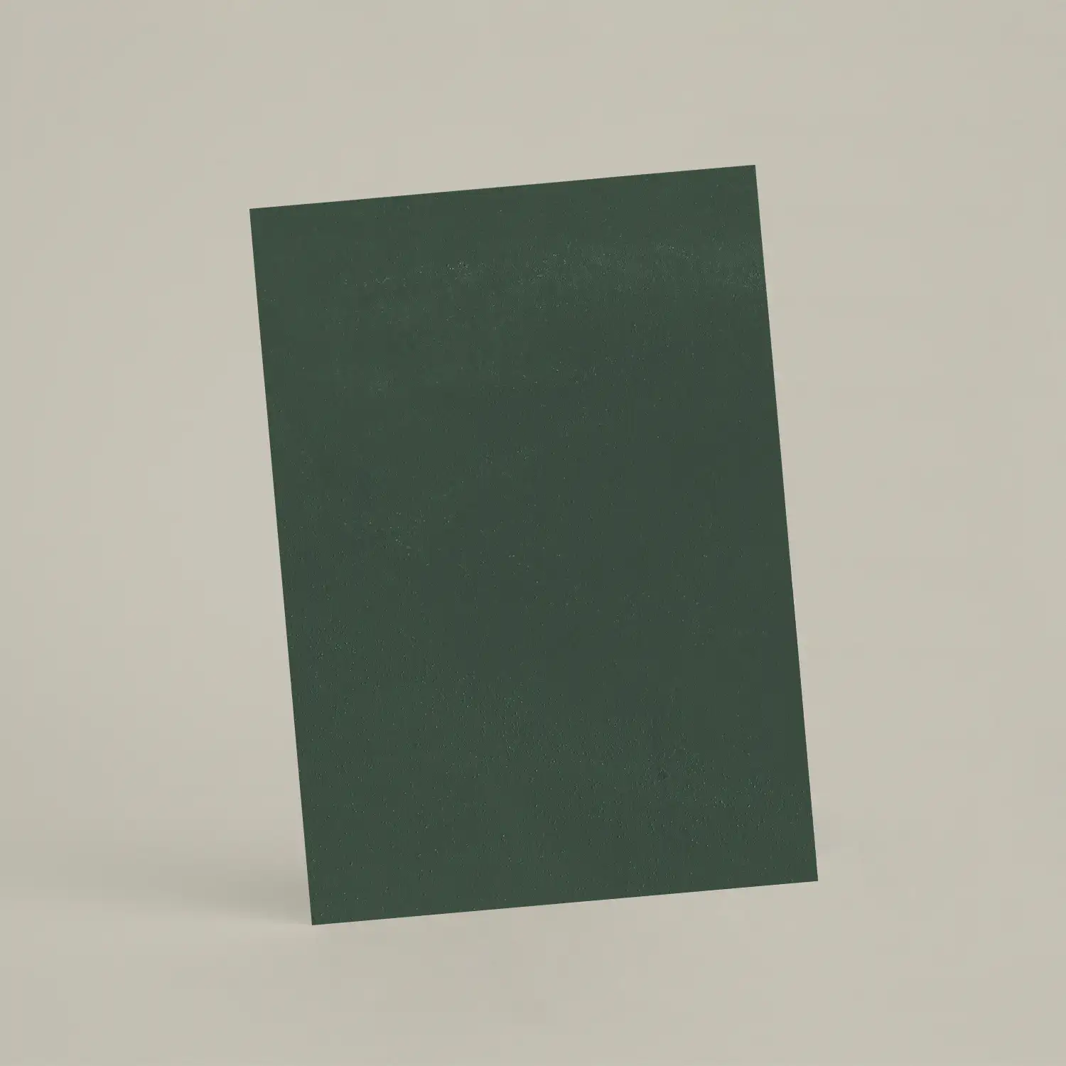 Échantillon A6 Chaux lissée RMDV69 - Avocat