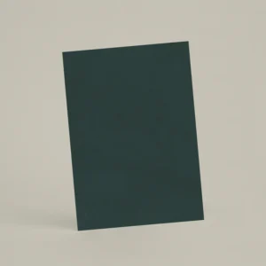 Échantillon A6 Chaux lissée RMDV71 - Cèdre