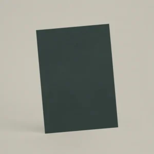 Échantillon A6 Chaux lissée RMDV73 - Canard